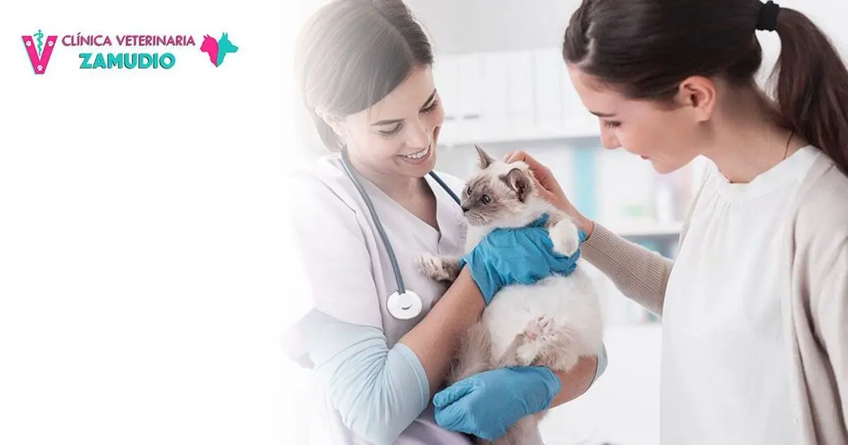 Veterinaria Zamudio