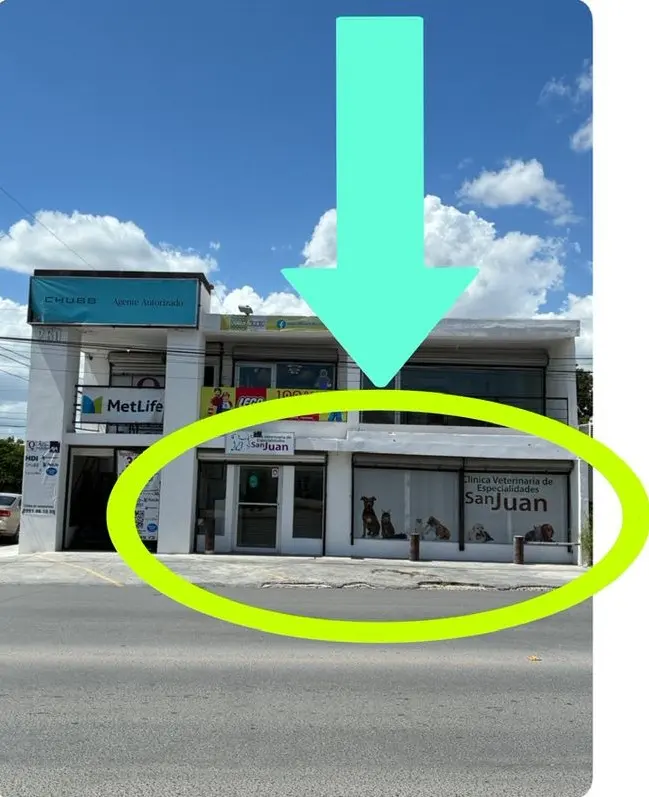 Clínica Veterinaria de Especialidades San Juan
