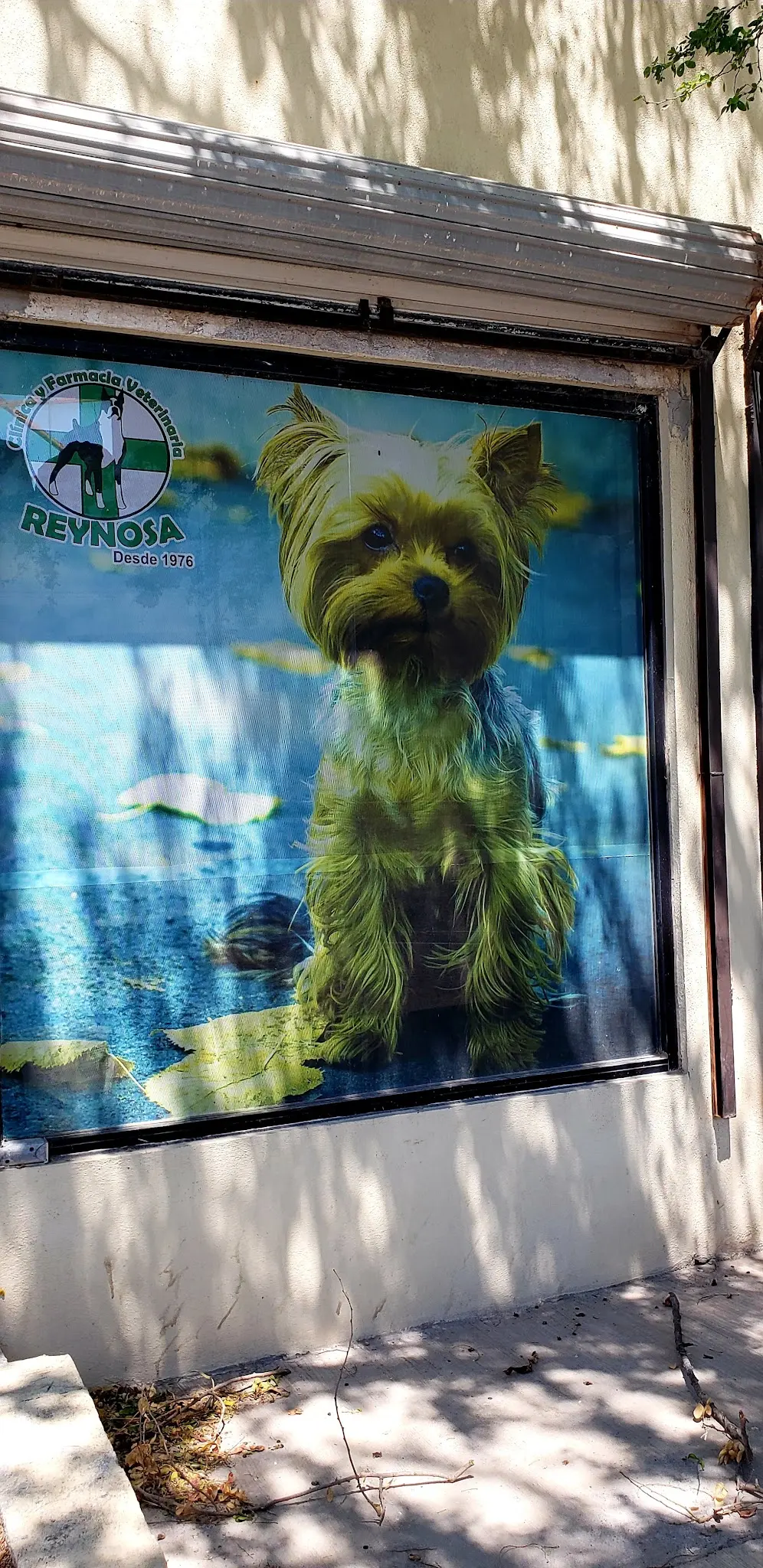 Clinica Veterinaria Reynosa — foto 3 de 3