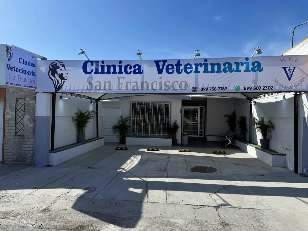 Clínica veterinaria San Francisco — foto 2 de 3