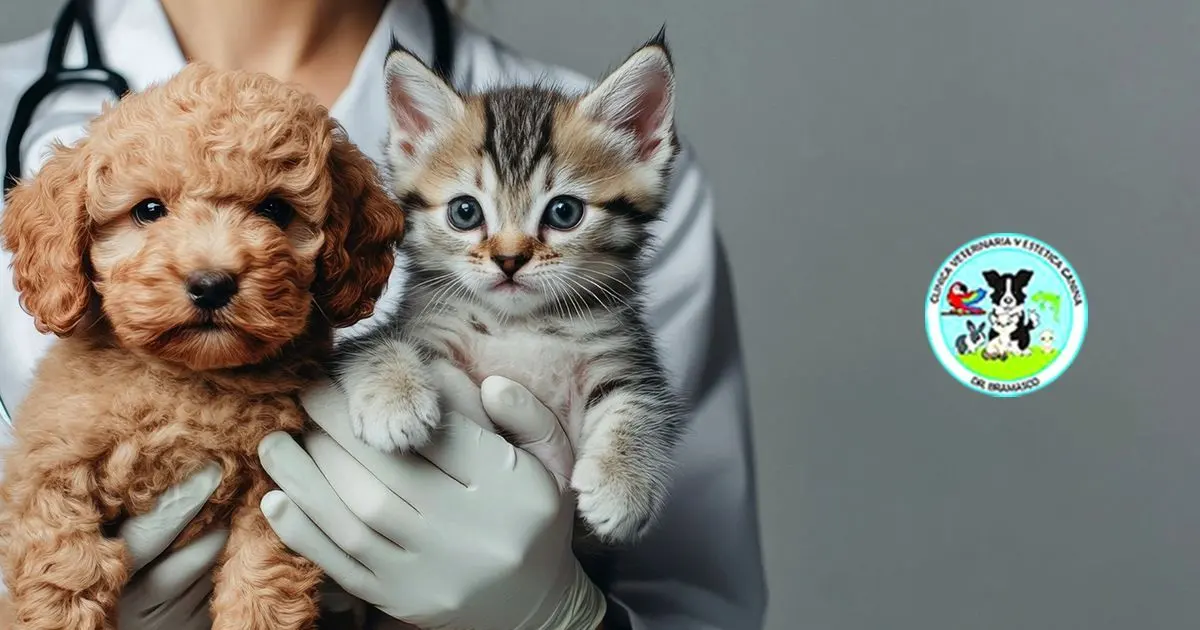 CLÍNICA VETERINARIA Y ESTÉTICA CANINA