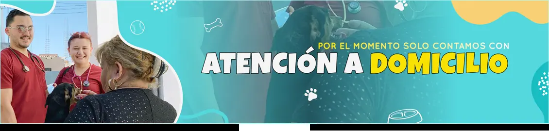 Dr. Mascota Veterinaria | Las Cumbres.