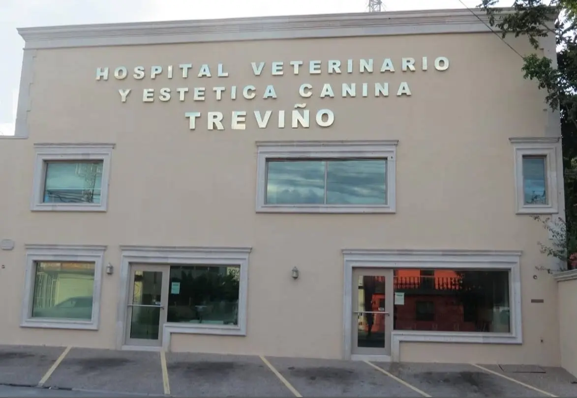 Hospital Veterinario Y Estética Canina Treviño