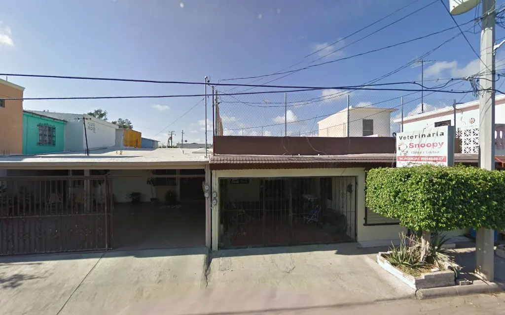 Servicios Clínicos y Estéticos Veterinarios Snoopy