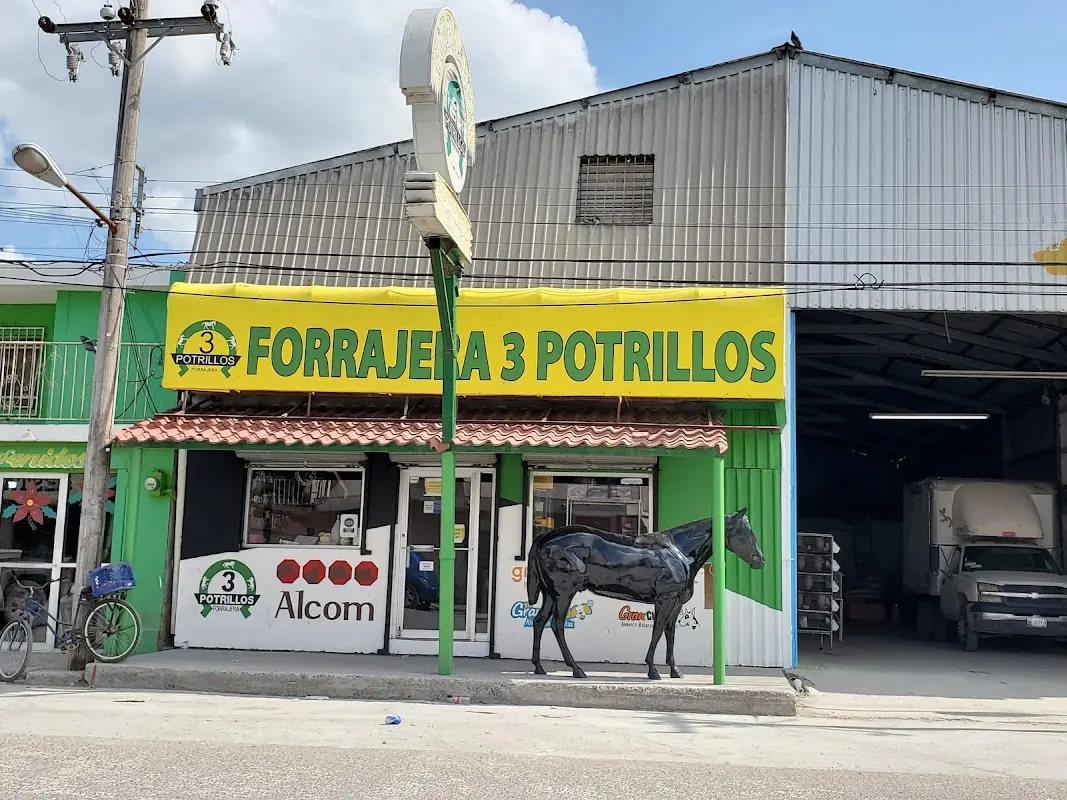 Agropecuaria 3 Potrillos — foto 2 de 2