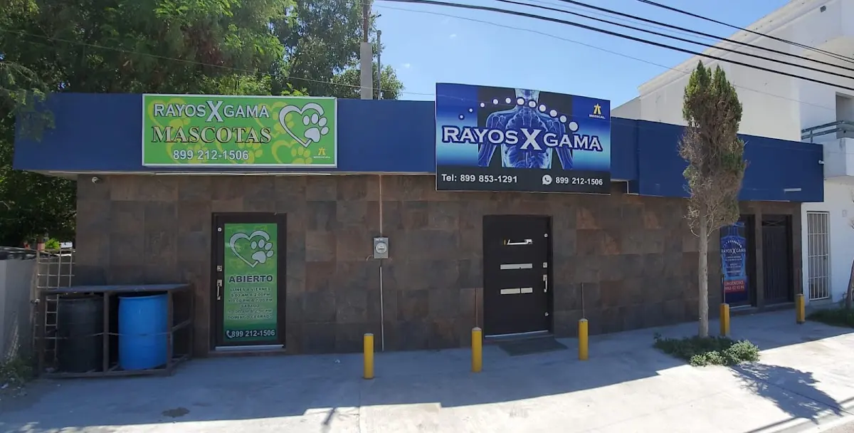 Rayos X Gama Mascotas