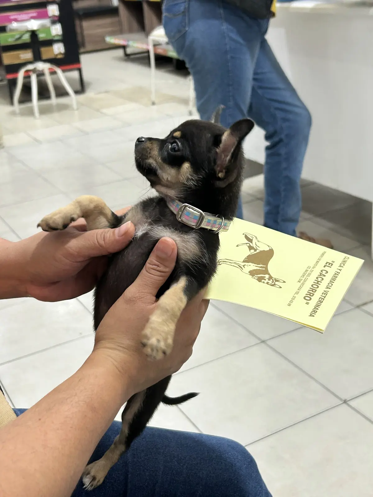 Clínica Veterinaria El Cachorro