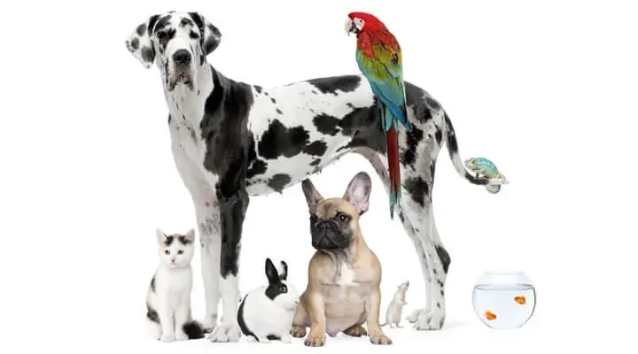 Farmacia Veterinaria La Jeringa — foto 3 de 4