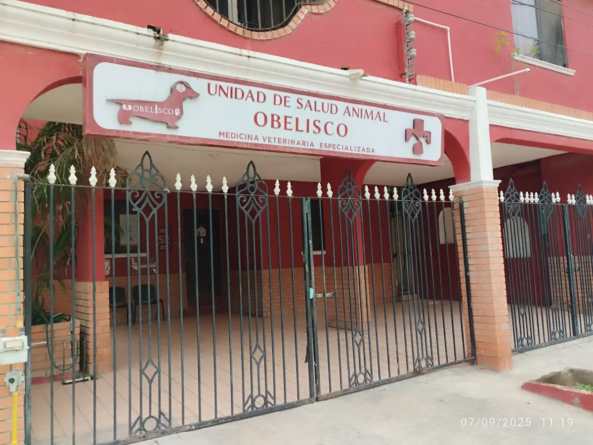 Unidad de Salud Animal Obelisco (Veterinaria)