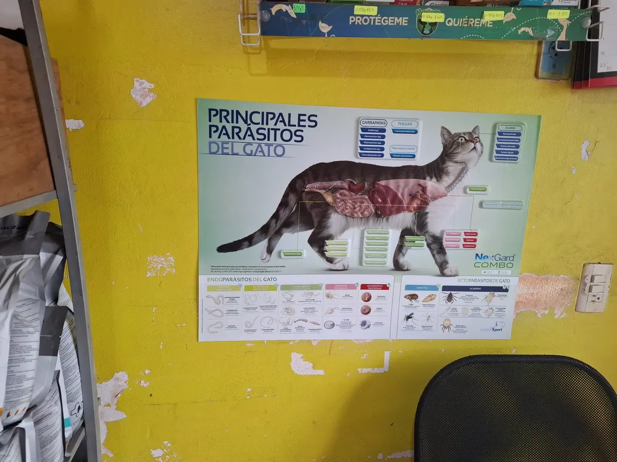 Veterinaria Colinas — foto 2 de 3