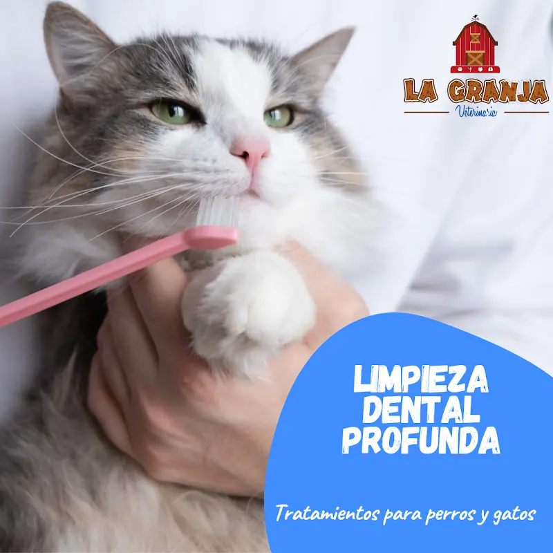 Veterinaria La Granja
