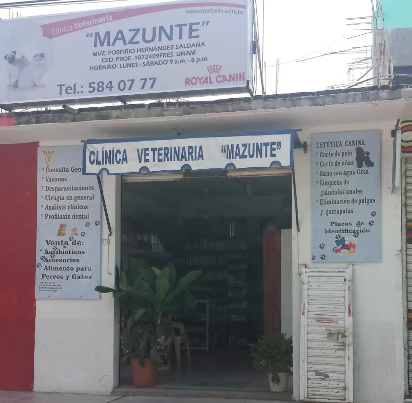 Veterinaria Mazunte