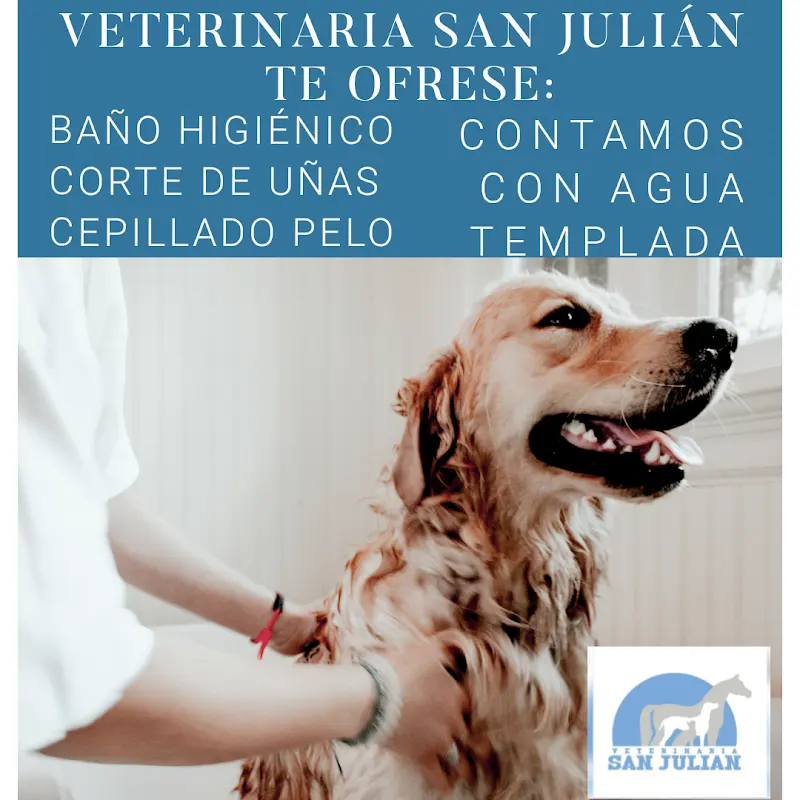 Veterinaria San Julián