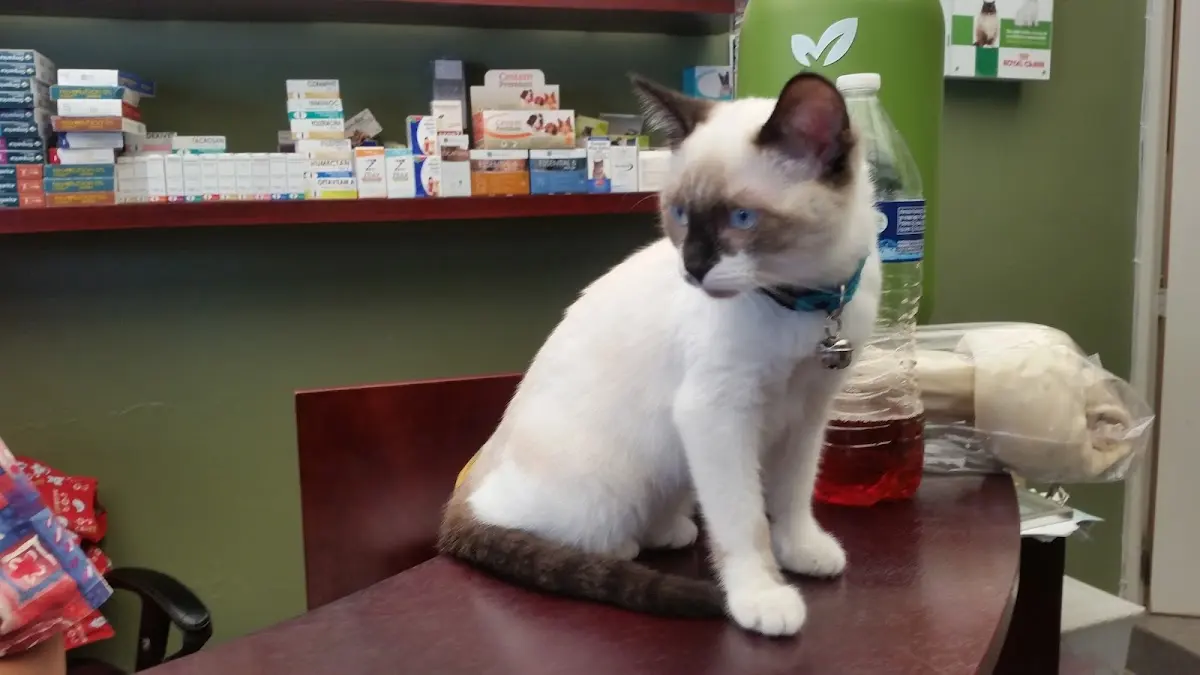 Clínica Veterinaria Derreza