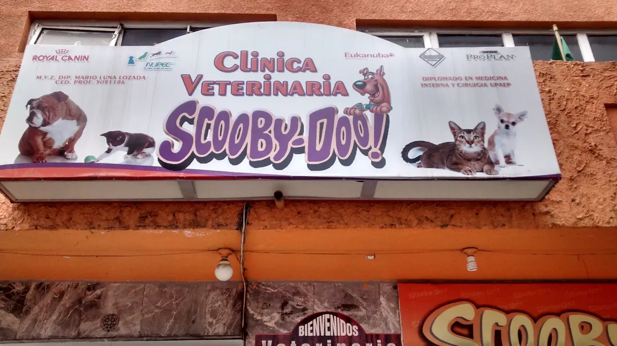 Clínica Veterinaria Scooby-Doo — foto 2 de 3