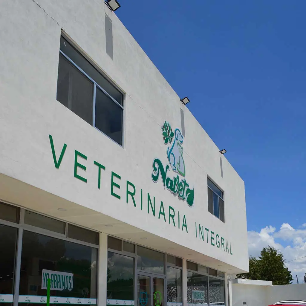 NAVET Hospital Veterinario 24hrs & Laboratorio clínico