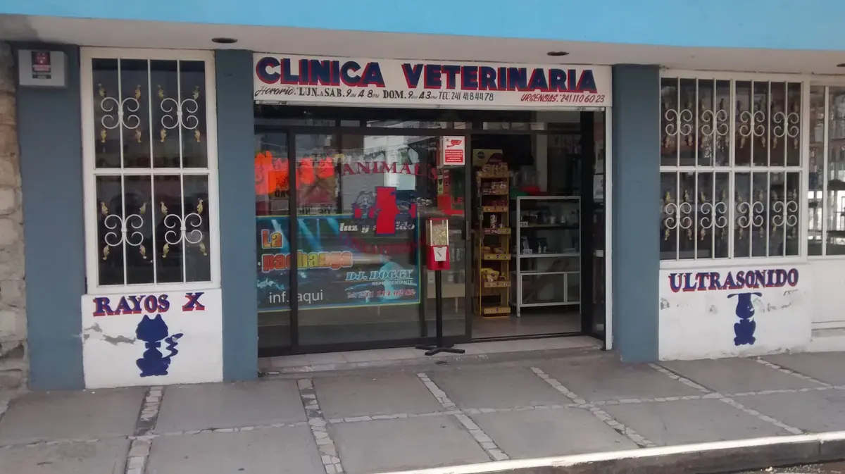 Veterinaria Animal's