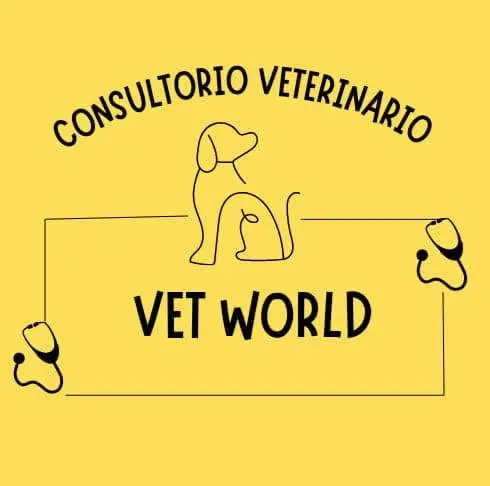 Vet world consultorio veterinario