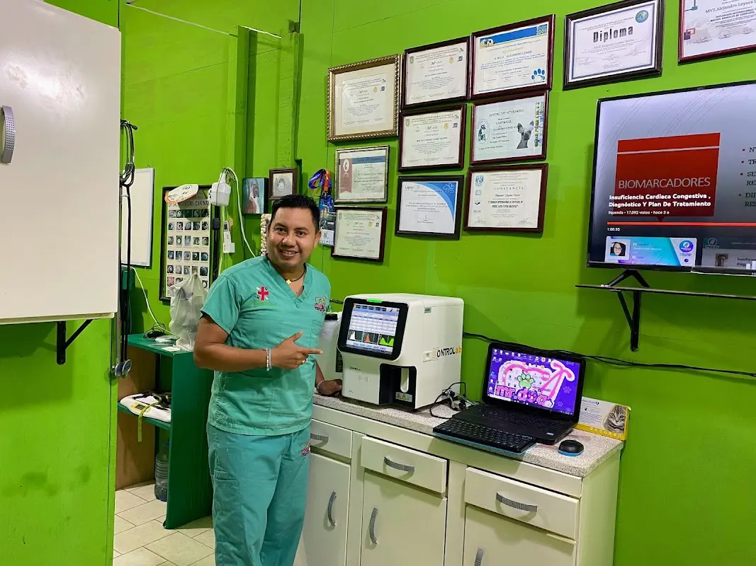 Mr Dog Veterinary Alamo