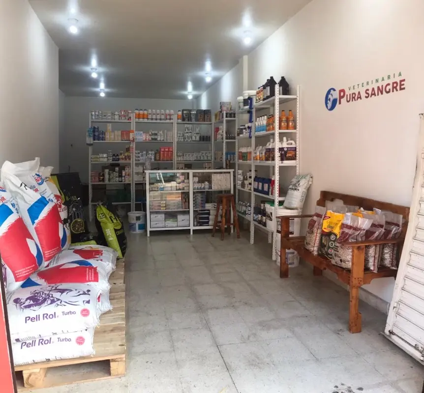 Veterinaria Pura Sangre