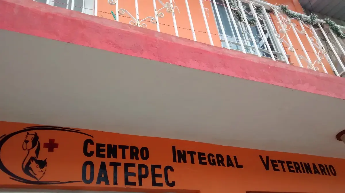Centro Integral Veterinario Coatepec — foto 2 de 3