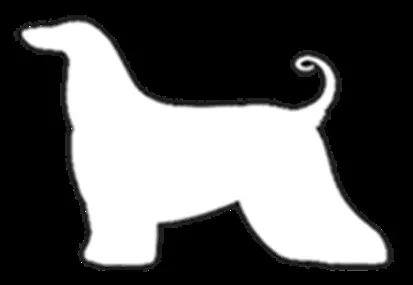 Vet Medical Animal Health Mty