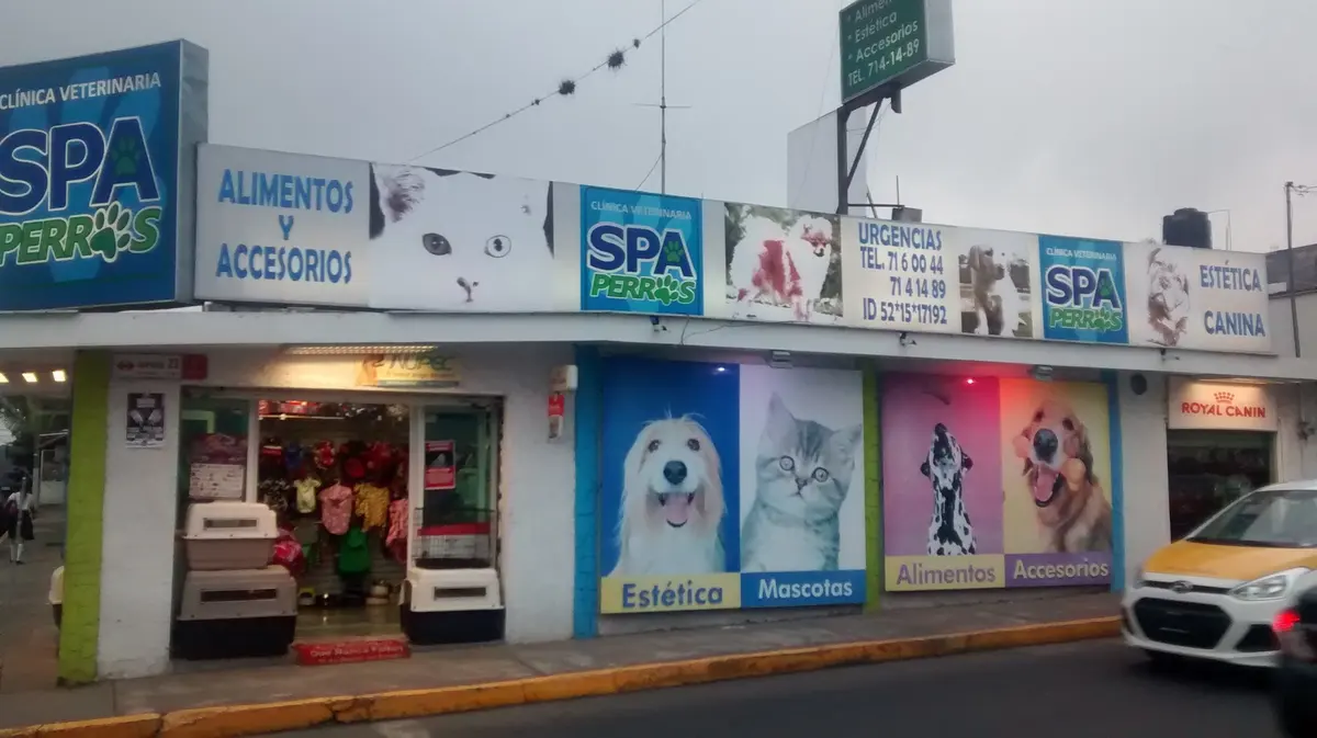 Clínica veterinaria y estética canina SPA PERROS Córdoba Veracruz — foto 3 de 3