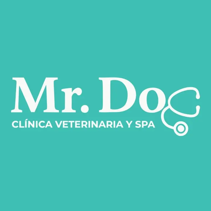 Mr Dog Clínica Veterinaria y Spa