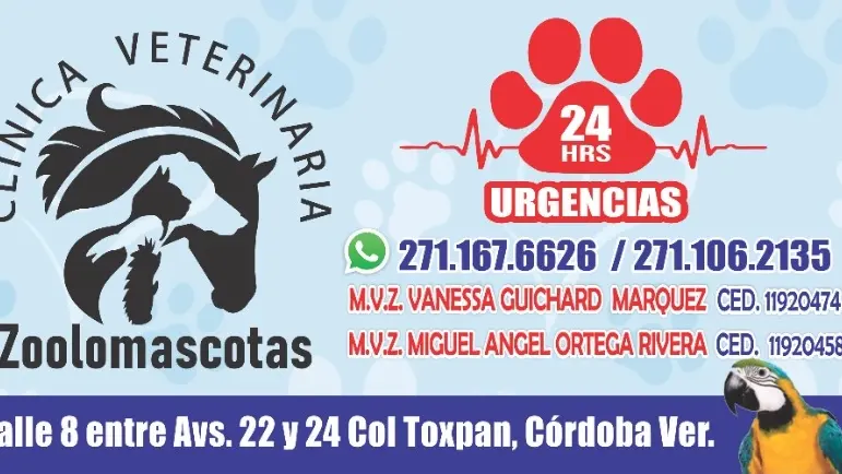 Zoolomascotas Clínica