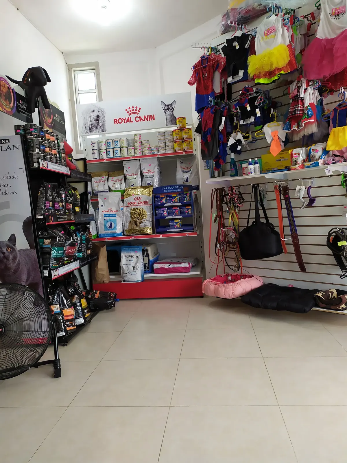 Clínica Veterinaria Dogtor Cats — foto 2 de 3