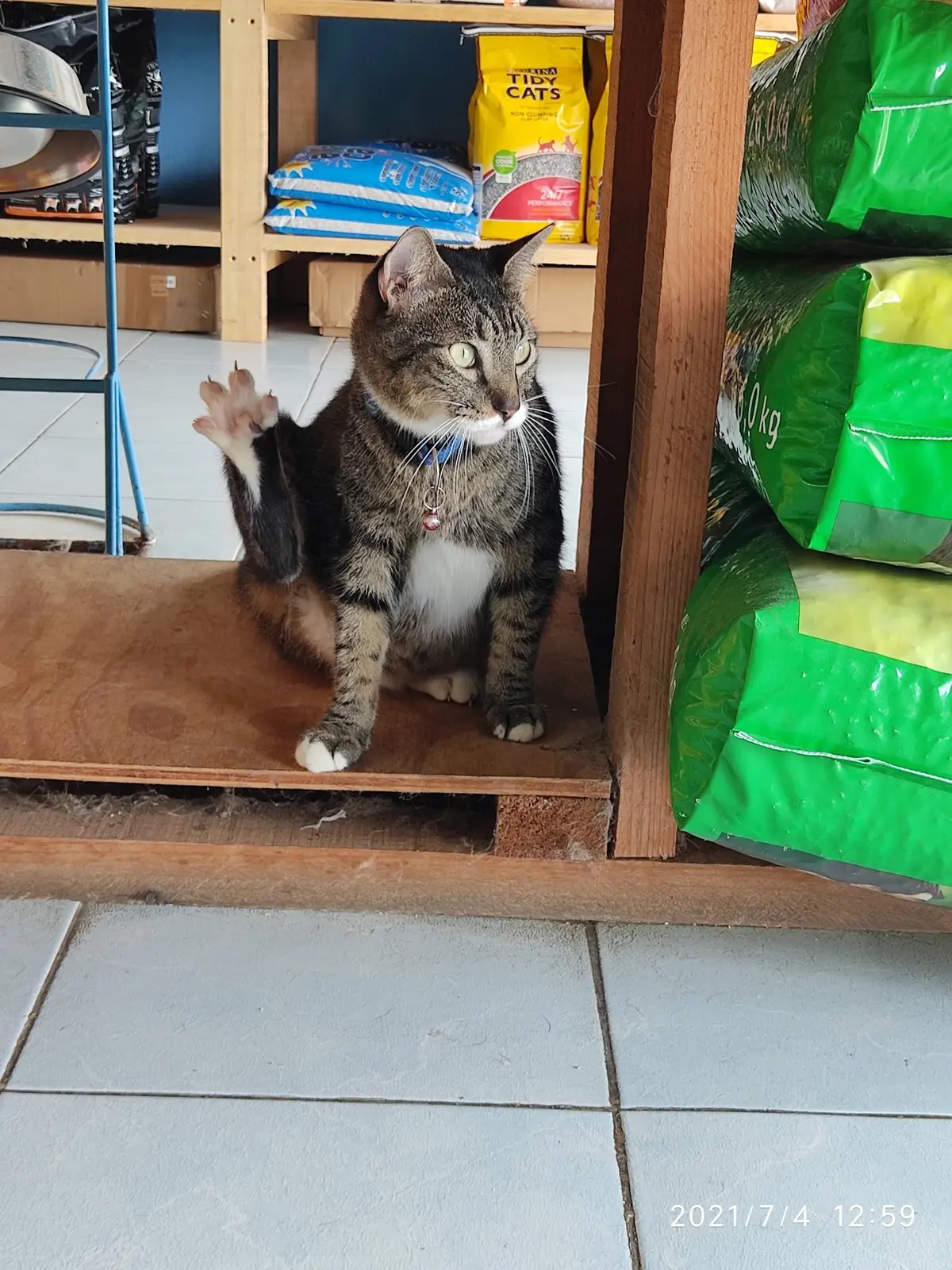 Clínica veterinaria leon