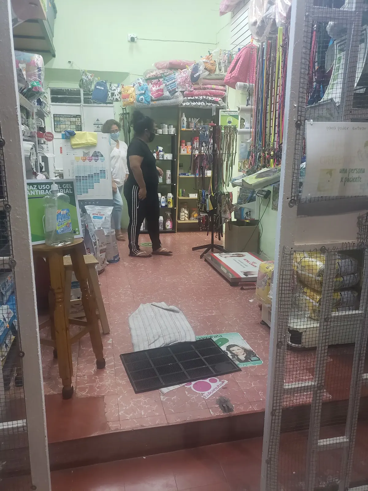 Clínica Veterinaria Como Perros y Gatos — foto 2 de 3