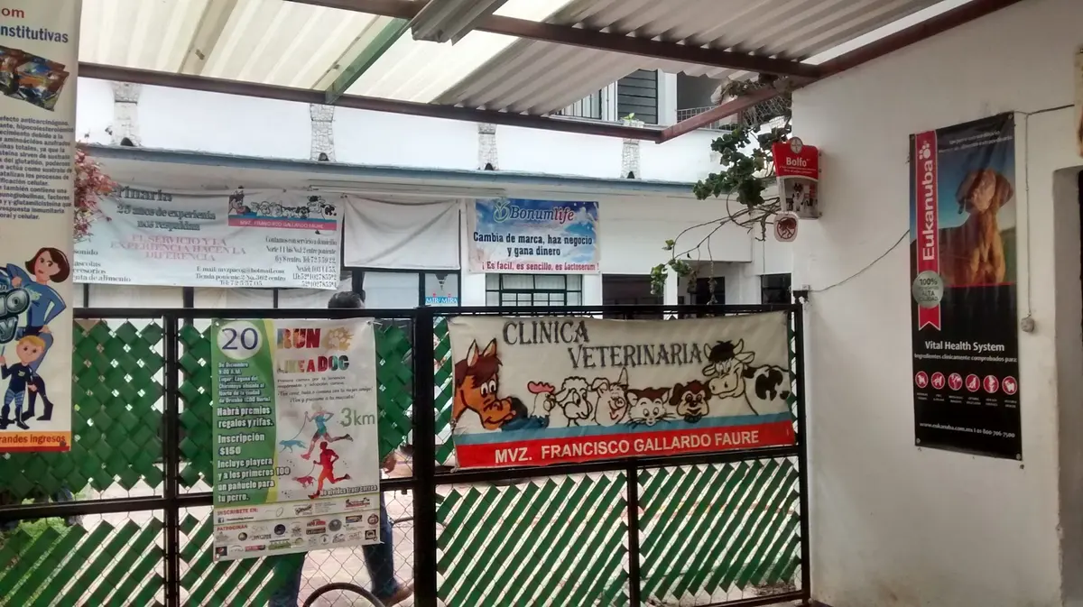 Clínica Veterinaria Gallardo Faure