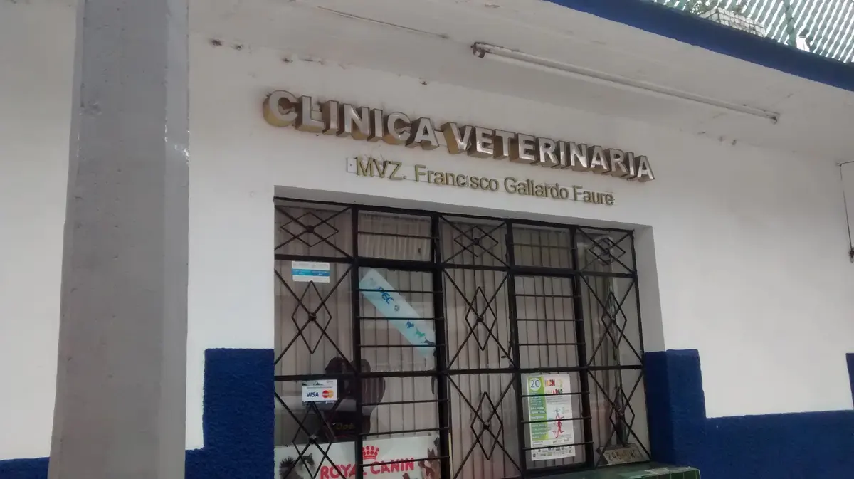 Clínica Veterinaria Gallardo Faure — foto 2 de 3