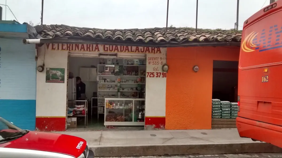 Veterinaria Guadalajara