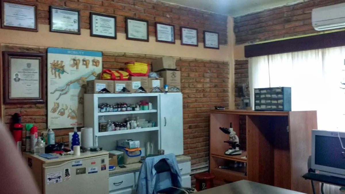 Clinica Veterinaria Pet´s