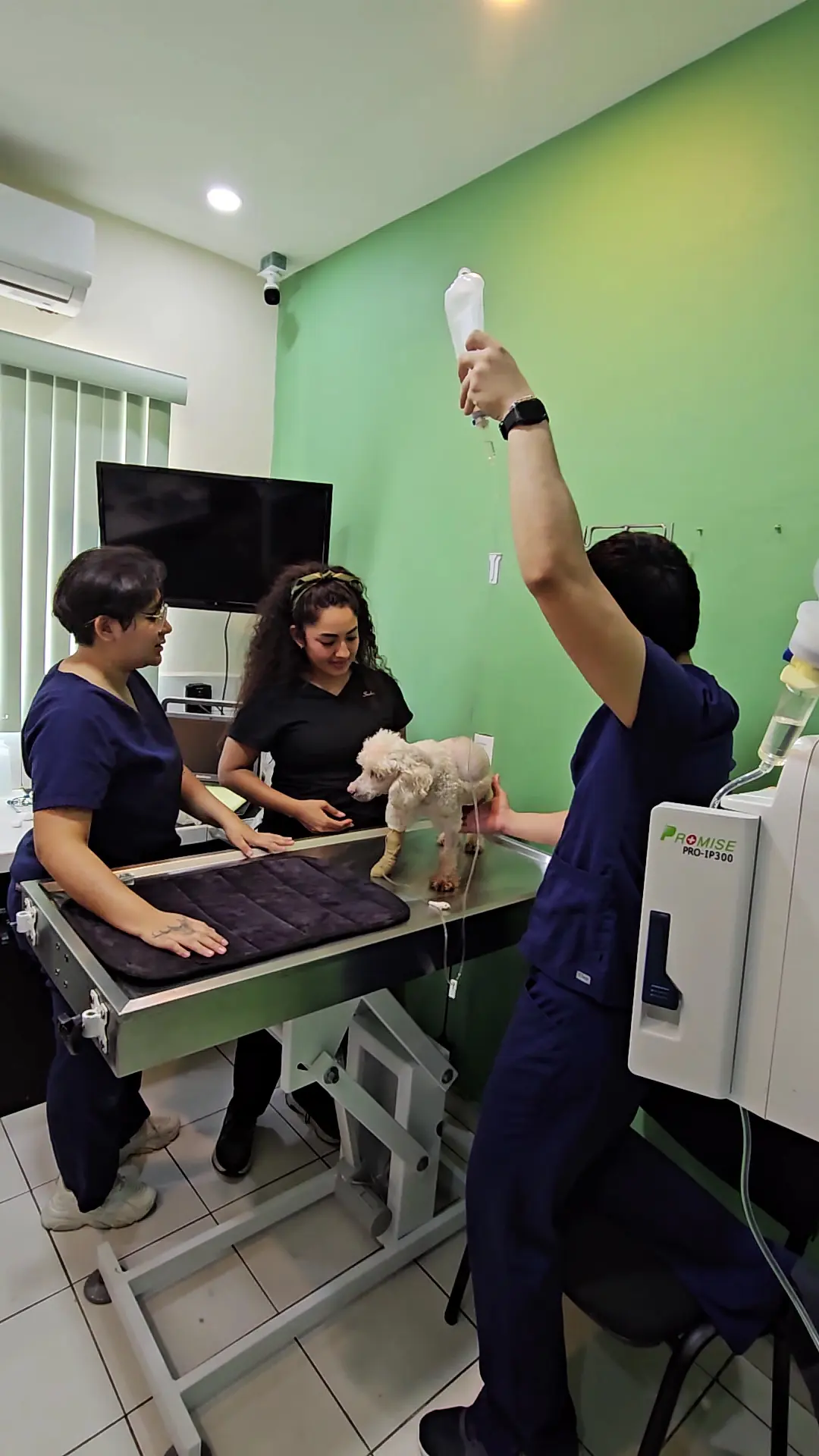 Centro Veterinario Poza Rica — foto 2 de 3