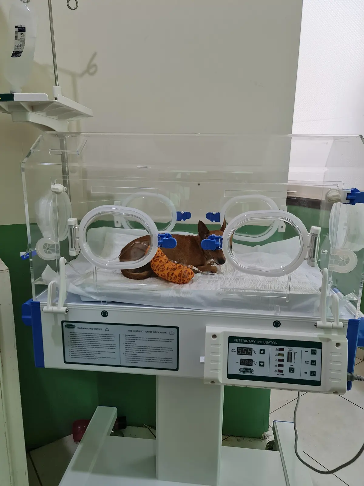 Centro Veterinario Poza Rica