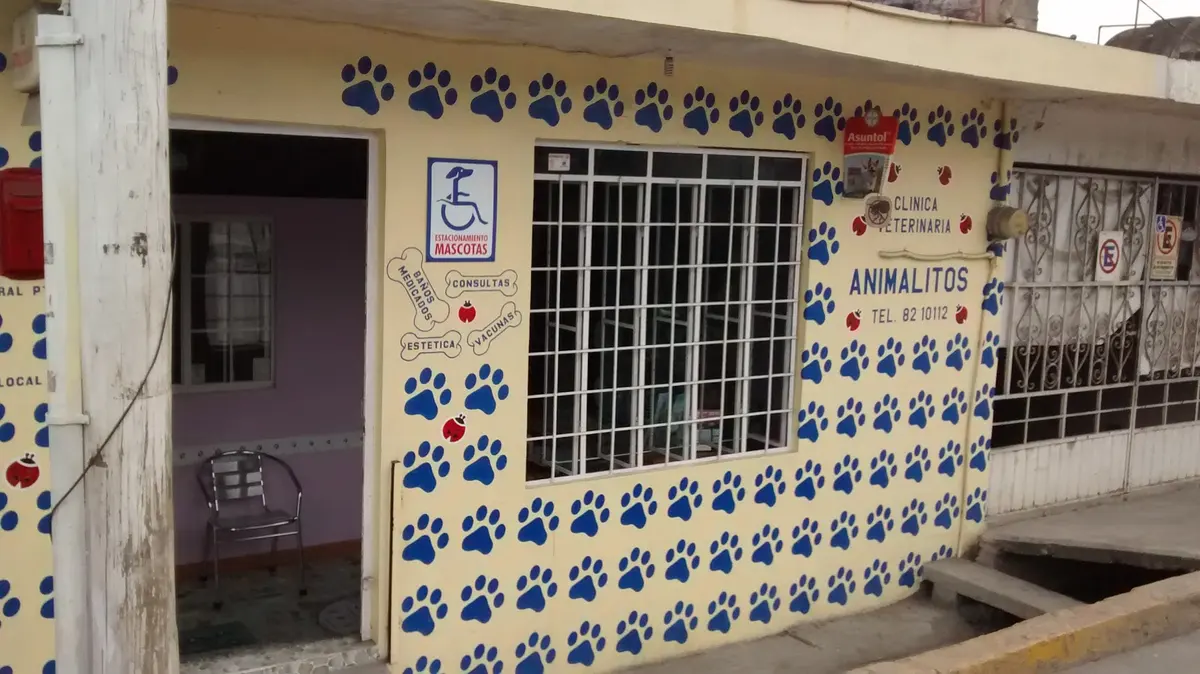 Clinica Veterinaria Animalitos