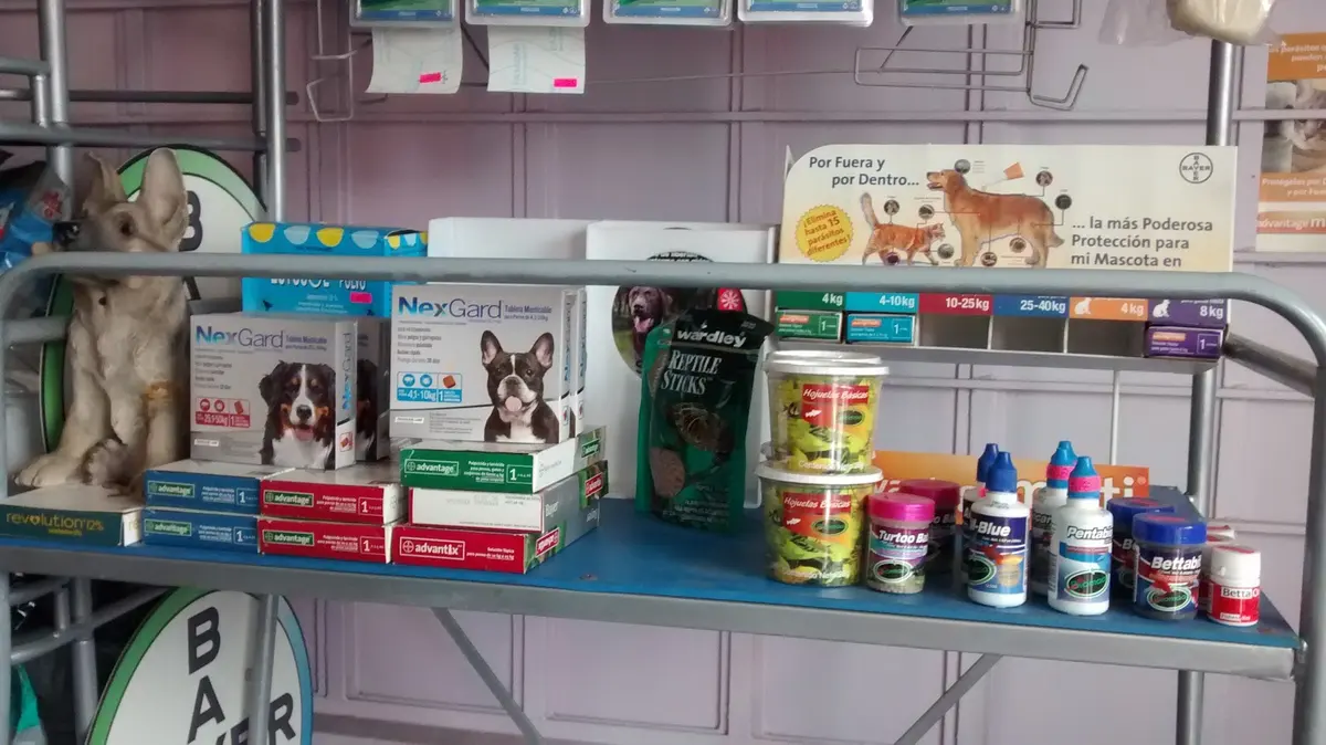 Clinica Veterinaria Animalitos — foto 2 de 3