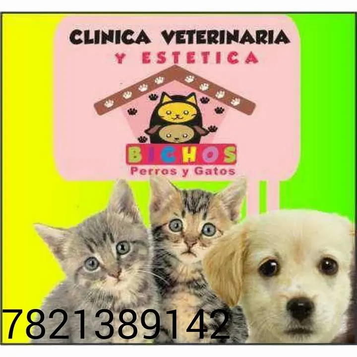 Clínica Veterinaria y Estética Bichos Perros y Gatos