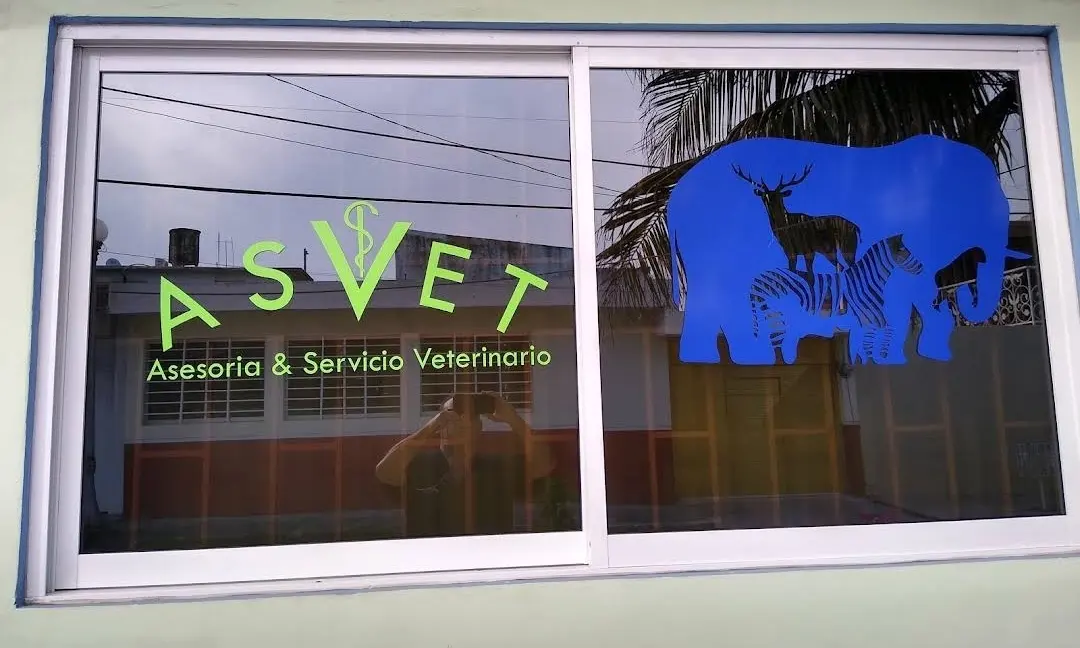 ASVET