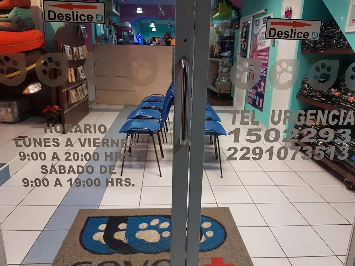 CEVES hospital Veterinario