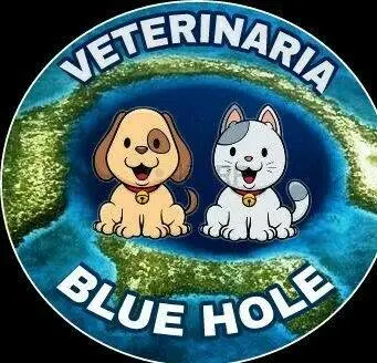 CLÍNICA VETERINARIA BLUE HOLE