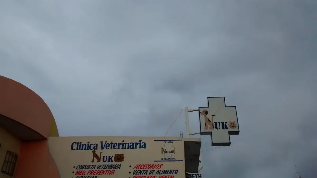 Clínica Veterinaria Nuko — foto 3 de 3