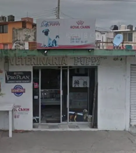 Clinica Veterinaria Vallejo