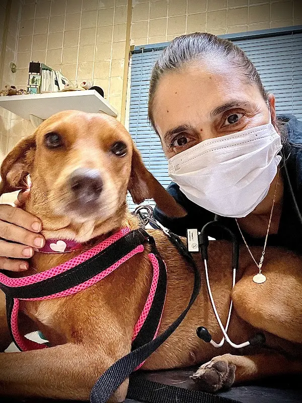 Consultorio Veterinario Animal´s