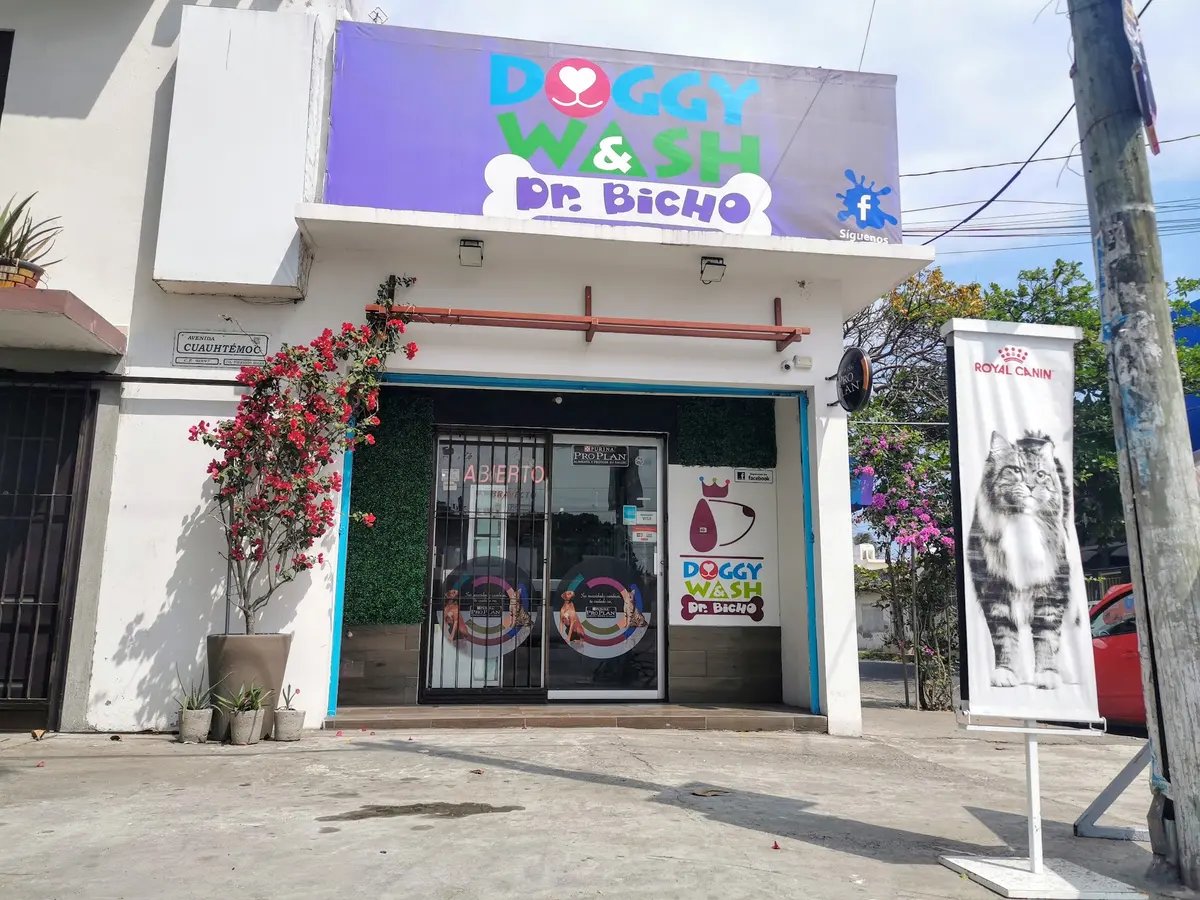 Doggy Wash & Dr. Bicho