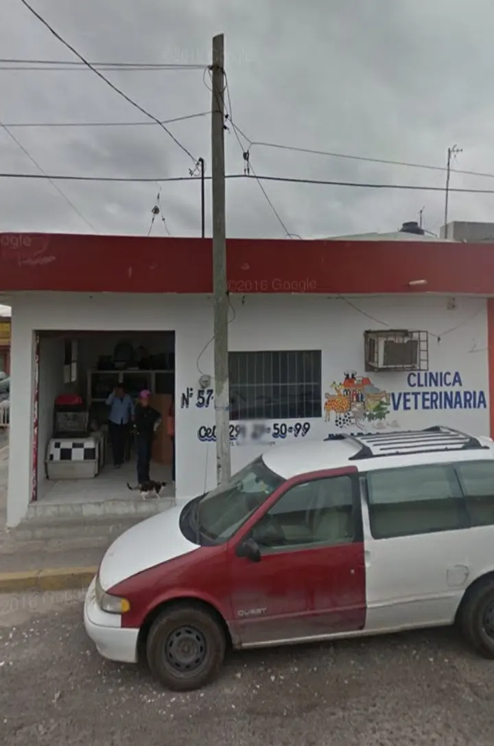 El Arca de Noé — foto 2 de 3