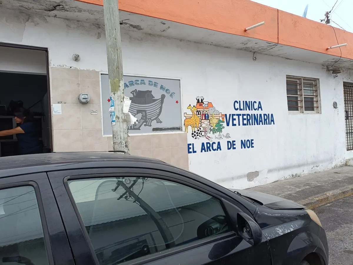 El Arca de Noé